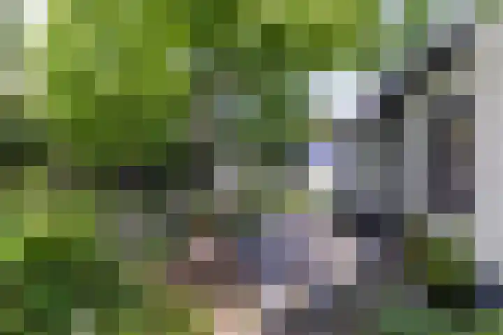 De Groene Voorwaarts 487 Apeldoorn thumbnail 28