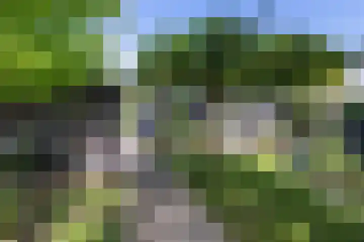 De Groene Voorwaarts 487 Apeldoorn thumbnail 29