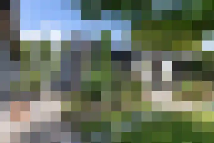 De Groene Voorwaarts 487 Apeldoorn thumbnail 30