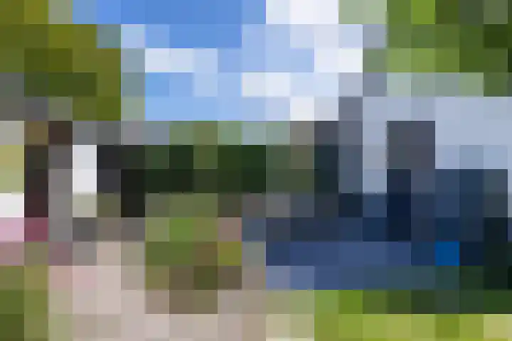 De Groene Voorwaarts 487 Apeldoorn thumbnail 32