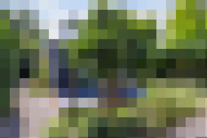 De Groene Voorwaarts 487 Apeldoorn thumbnail 33