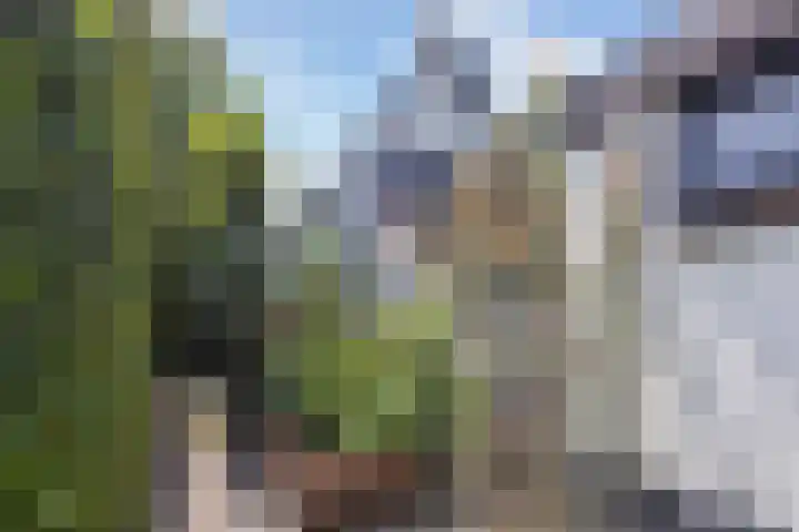De Groene Voorwaarts 487 Apeldoorn thumbnail 34