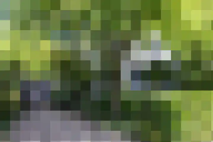 De Groene Voorwaarts 487 Apeldoorn thumbnail 35