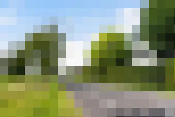 De Groene Voorwaarts 487 Apeldoorn thumbnail 36