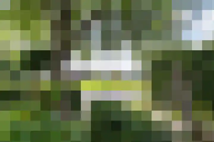 De Groene Voorwaarts 487 Apeldoorn thumbnail 37