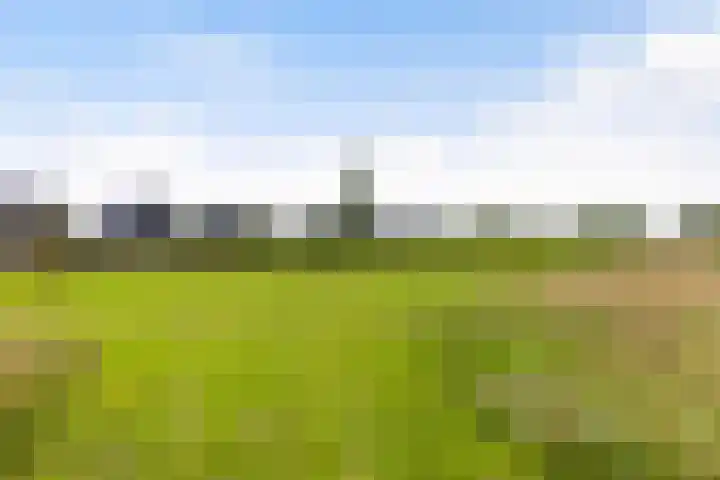 De Groene Voorwaarts 487 Apeldoorn thumbnail 38