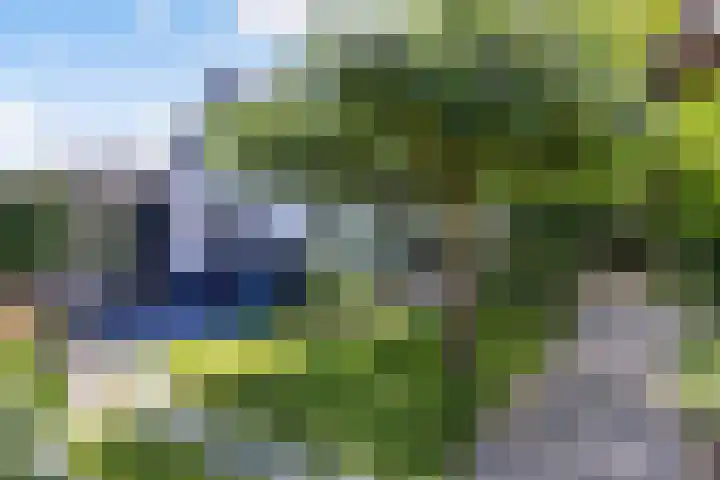 De Groene Voorwaarts 487 Apeldoorn thumbnail 4