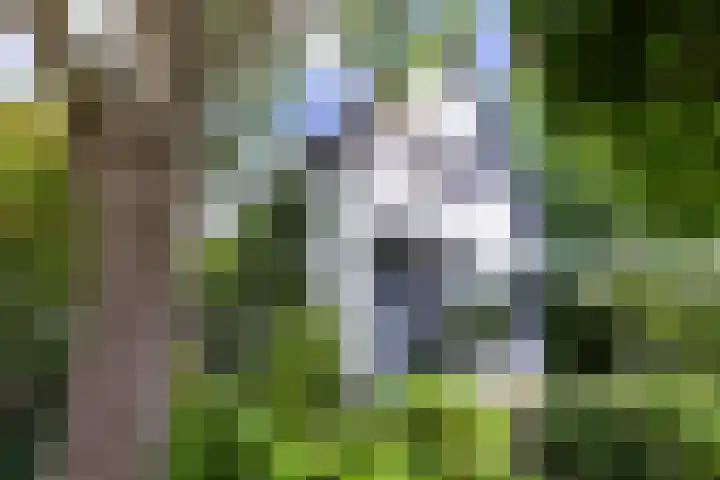 De Groene Voorwaarts 487 Apeldoorn thumbnail 51
