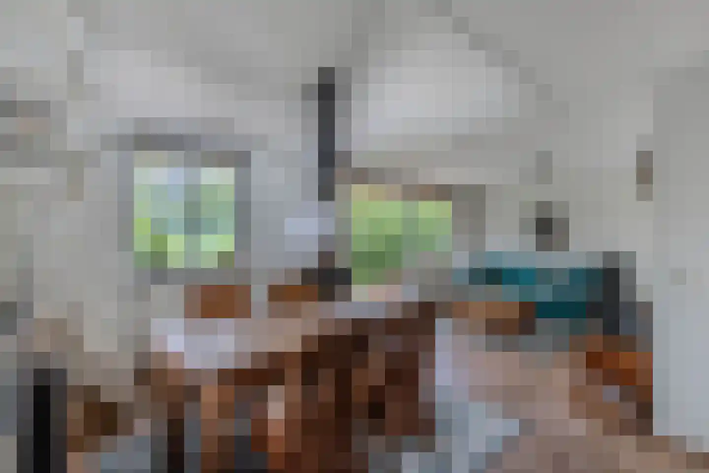 De Groene Zoom 26 Boijl thumbnail 20