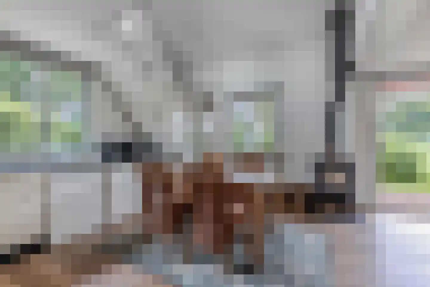 De Groene Zoom 26 Boijl thumbnail 21
