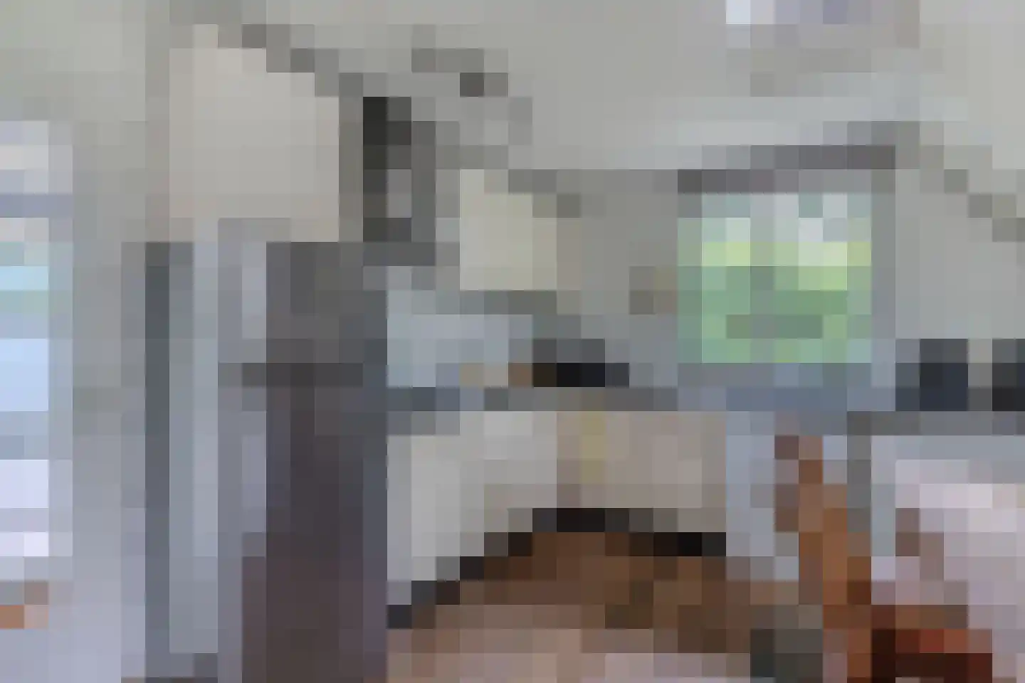 De Groene Zoom 26 Boijl thumbnail 22