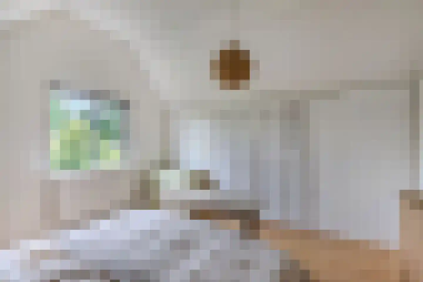 De Groene Zoom 26 Boijl thumbnail 25