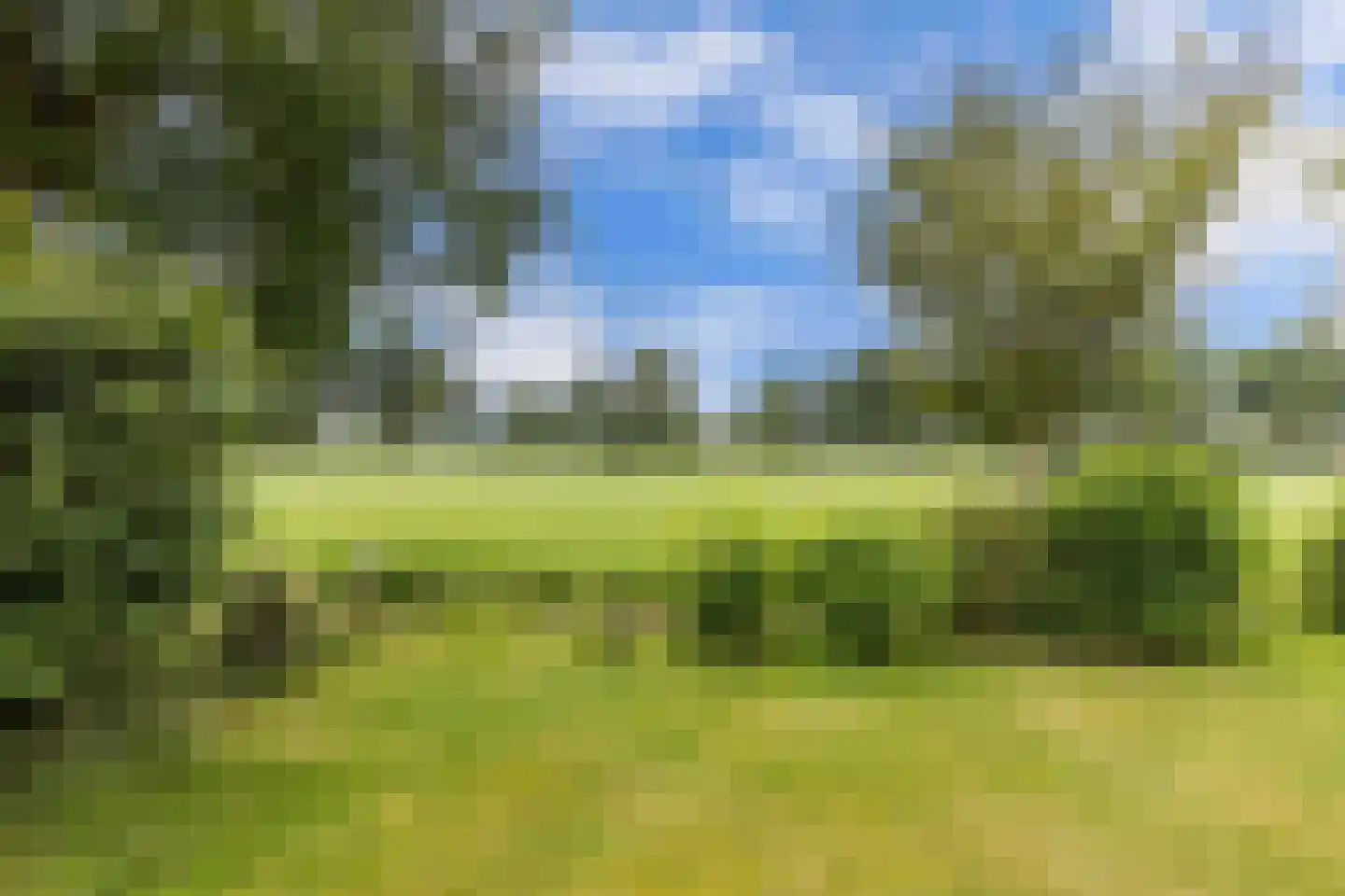 De Groene Zoom 26 Boijl thumbnail 33