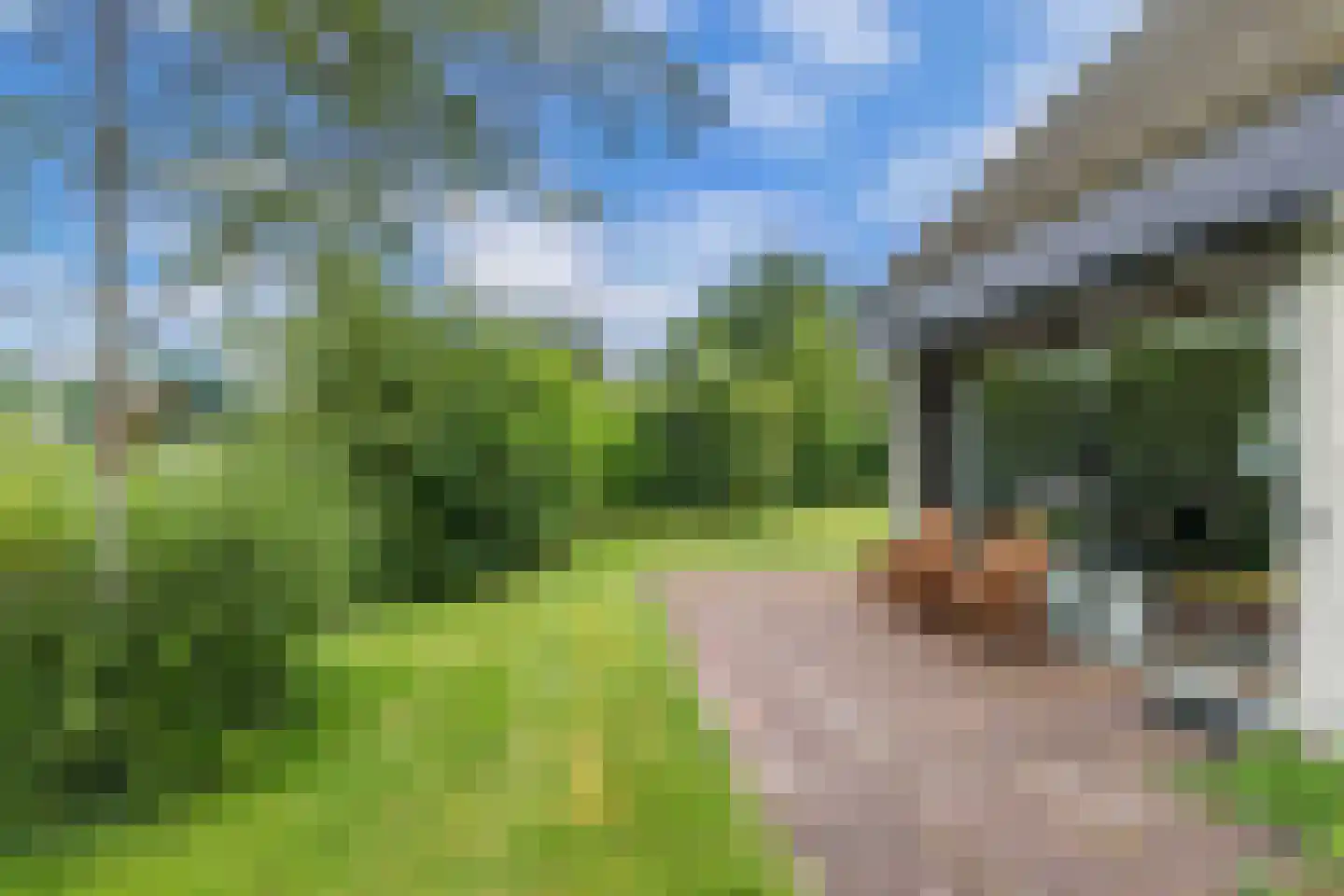 De Groene Zoom 26 Boijl thumbnail 35