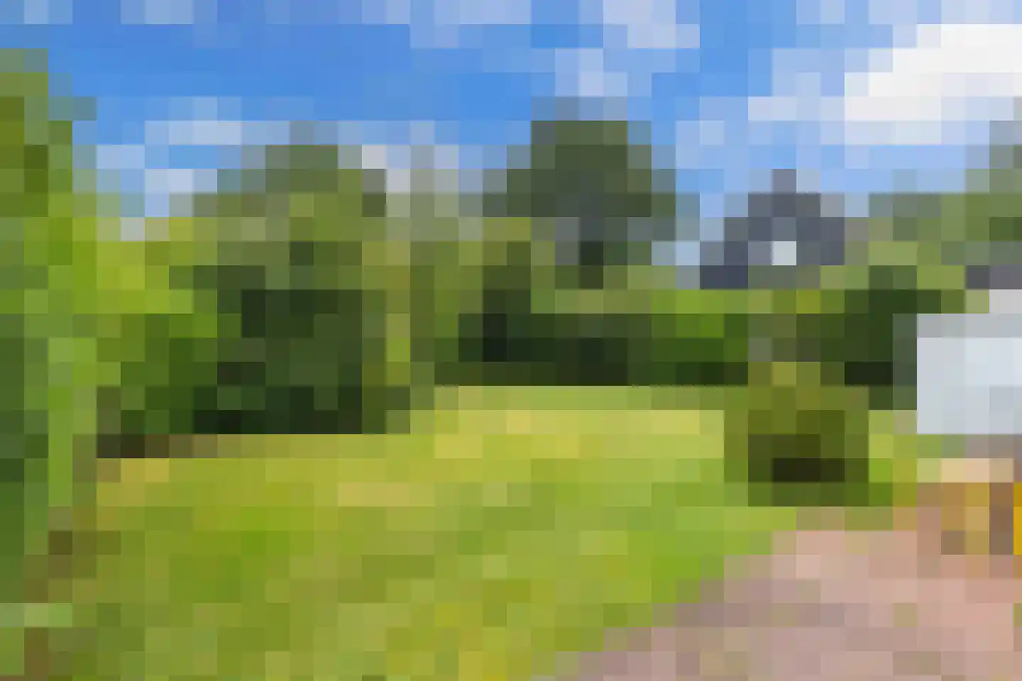 De Groene Zoom 26 Boijl thumbnail 36