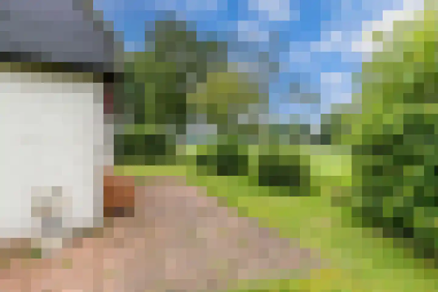 De Groene Zoom 26 Boijl thumbnail 39