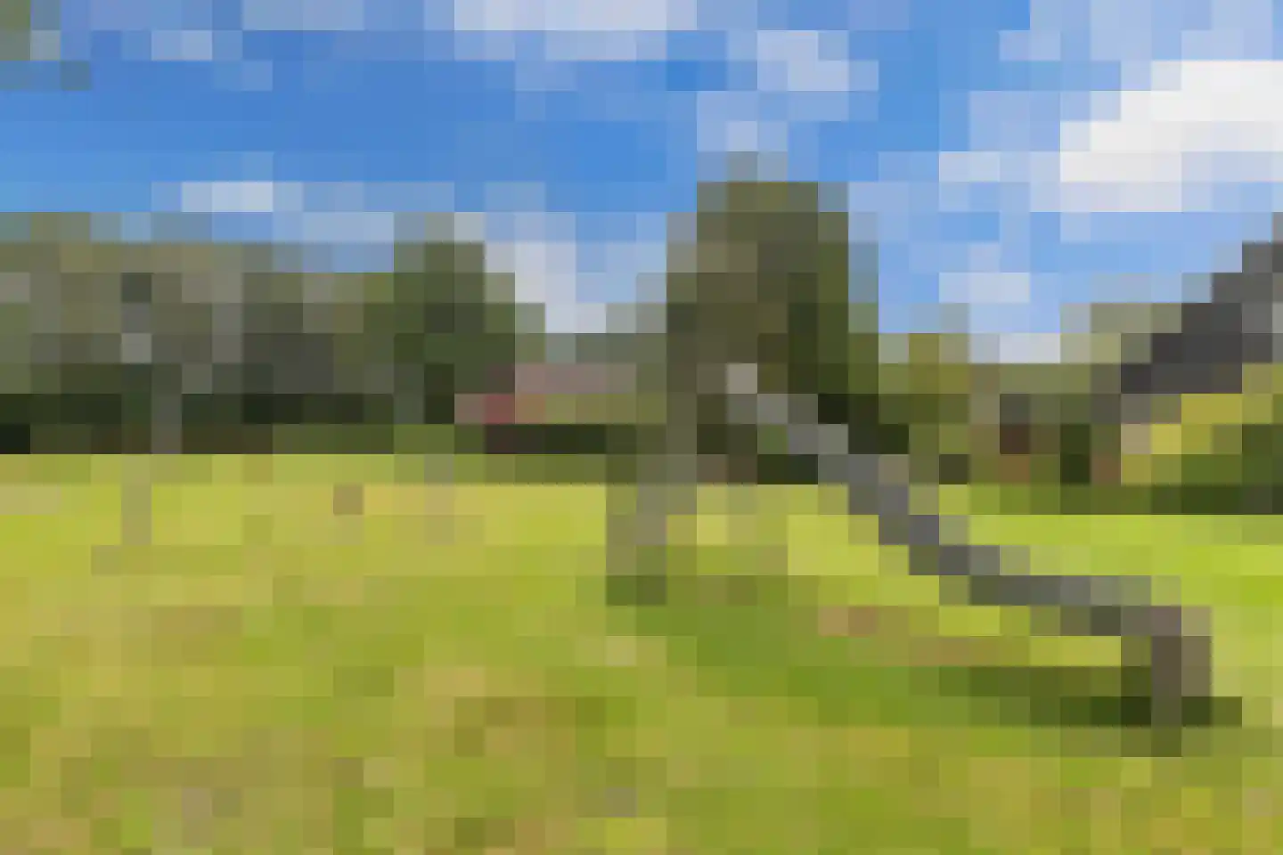 De Groene Zoom 26 Boijl thumbnail 40