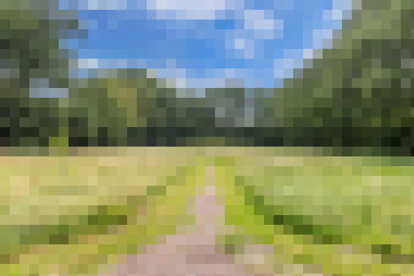 De Groene Zoom 26 Boijl thumbnail 41