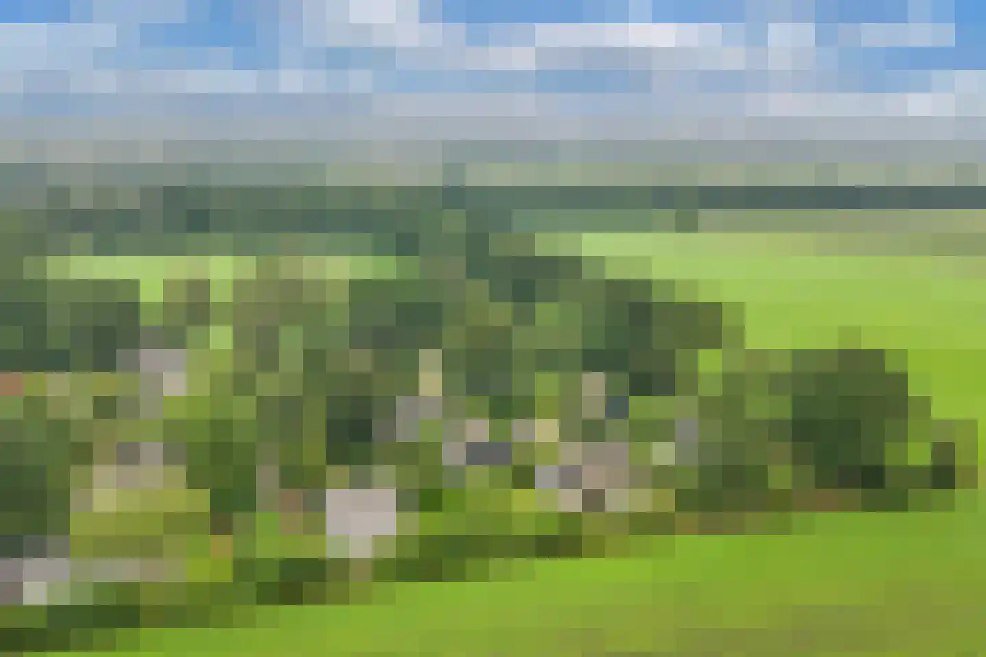 De Groene Zoom 26 Boijl thumbnail 48