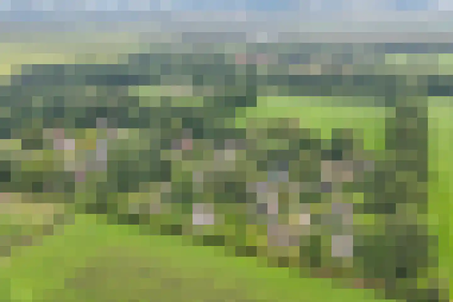 De Groene Zoom 26 Boijl thumbnail 49
