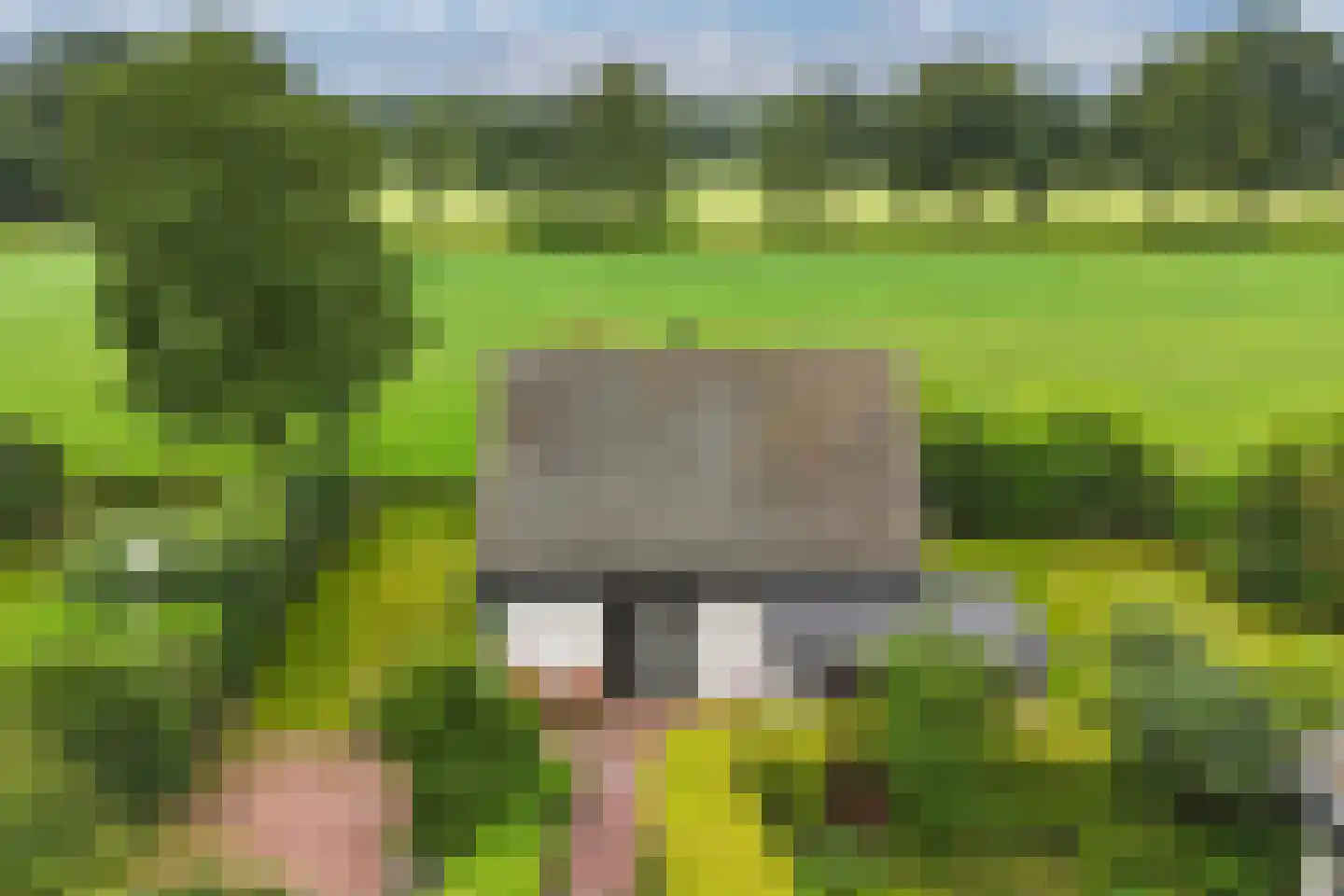 De Groene Zoom 26 Boijl thumbnail 8