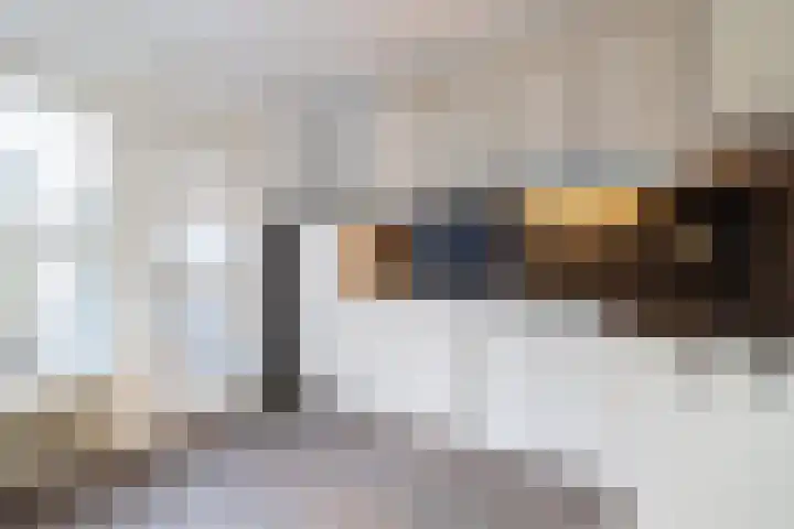 De Groenkampen 10 Hooghalen thumbnail 12