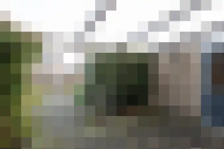 De Groenkampen 10 Hooghalen thumbnail 31