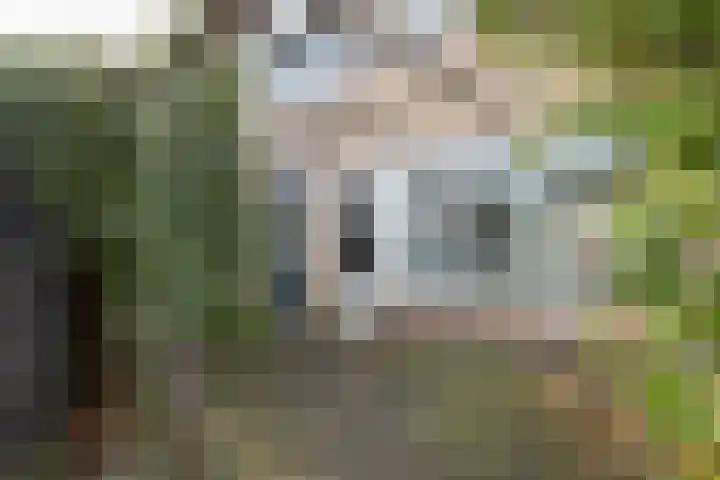 De Groenkampen 10 Hooghalen thumbnail 32