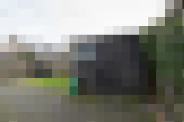 De Groenkampen 10 Hooghalen thumbnail 33