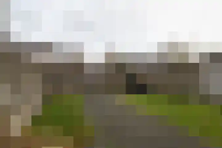De Groenkampen 10 Hooghalen thumbnail 34