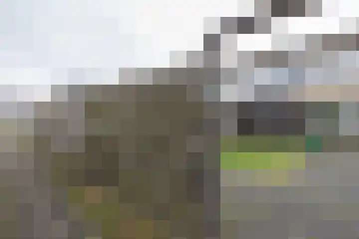 De Groenkampen 10 Hooghalen thumbnail 35