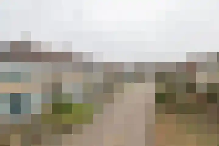 De Groenkampen 10 Hooghalen thumbnail 38
