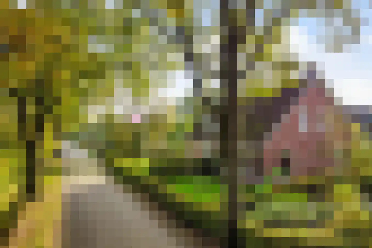 De Groenkampen 39 dans Hooghalen