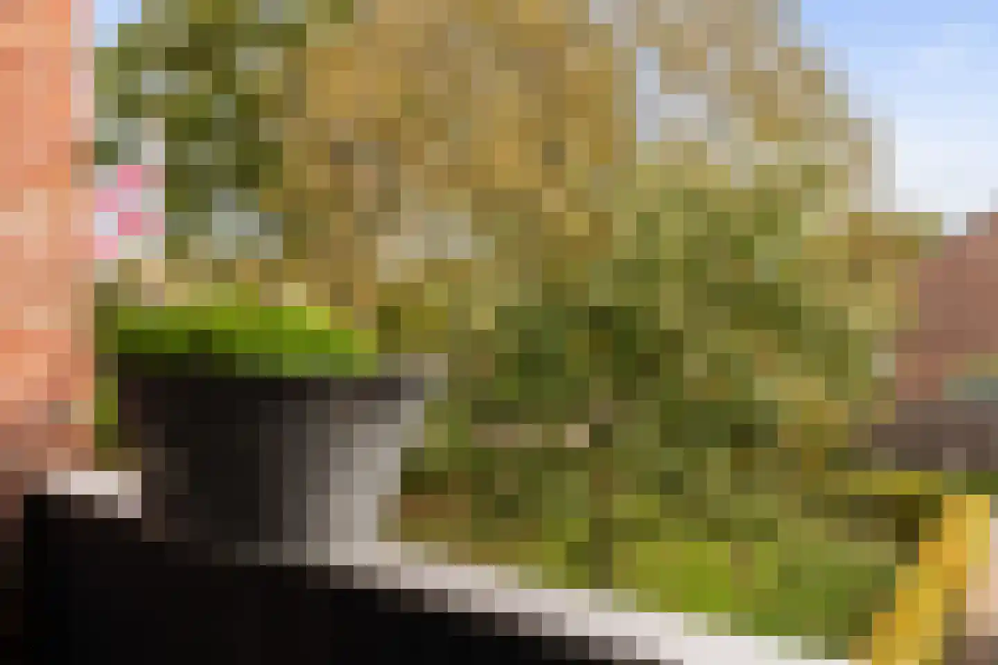 De Groenkampen 39 Hooghalen thumbnail 33