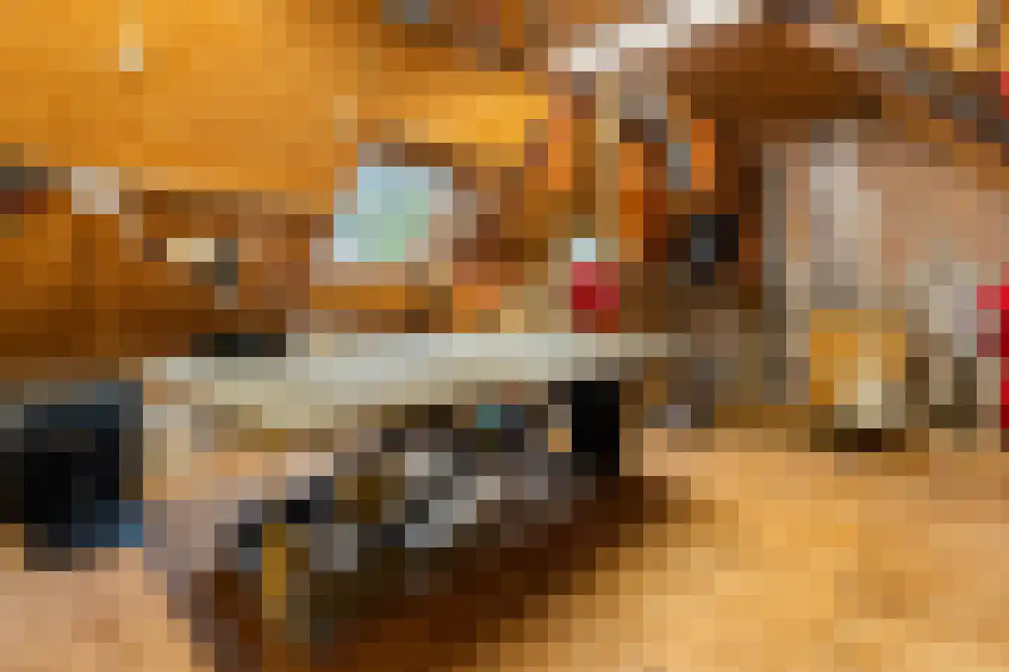 De Groenkampen 39 Hooghalen thumbnail 36