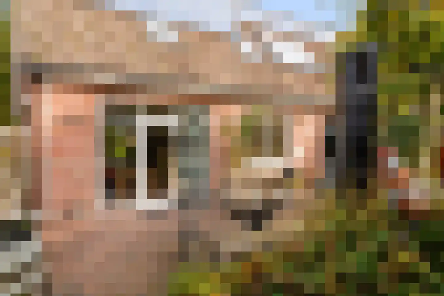 De Groenkampen 39 Hooghalen thumbnail 36