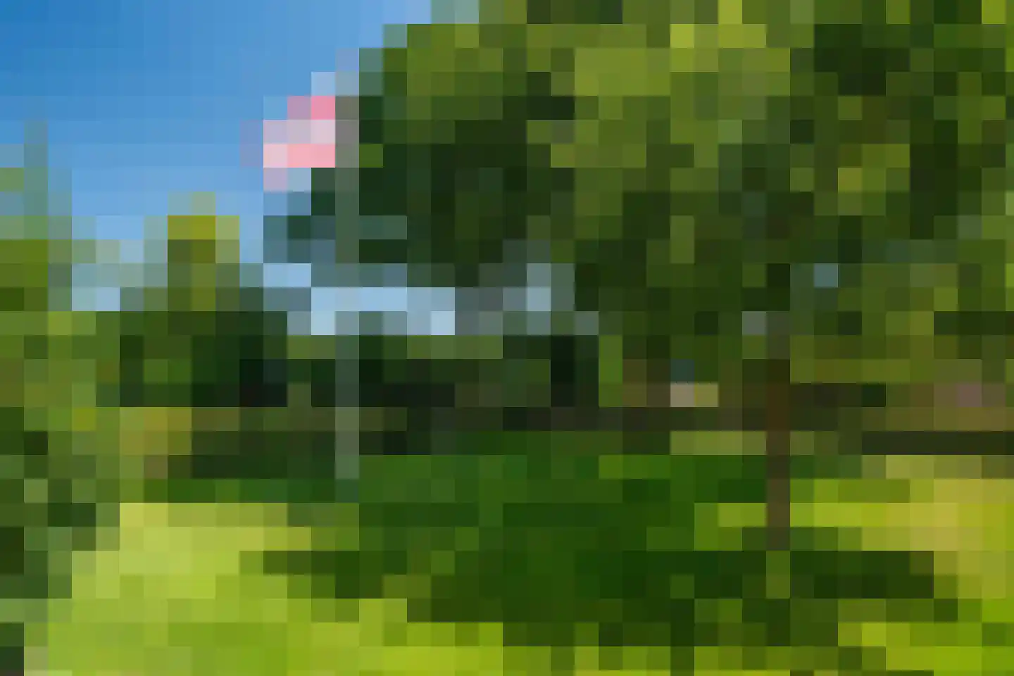 De Groenkampen 39 Hooghalen thumbnail 37