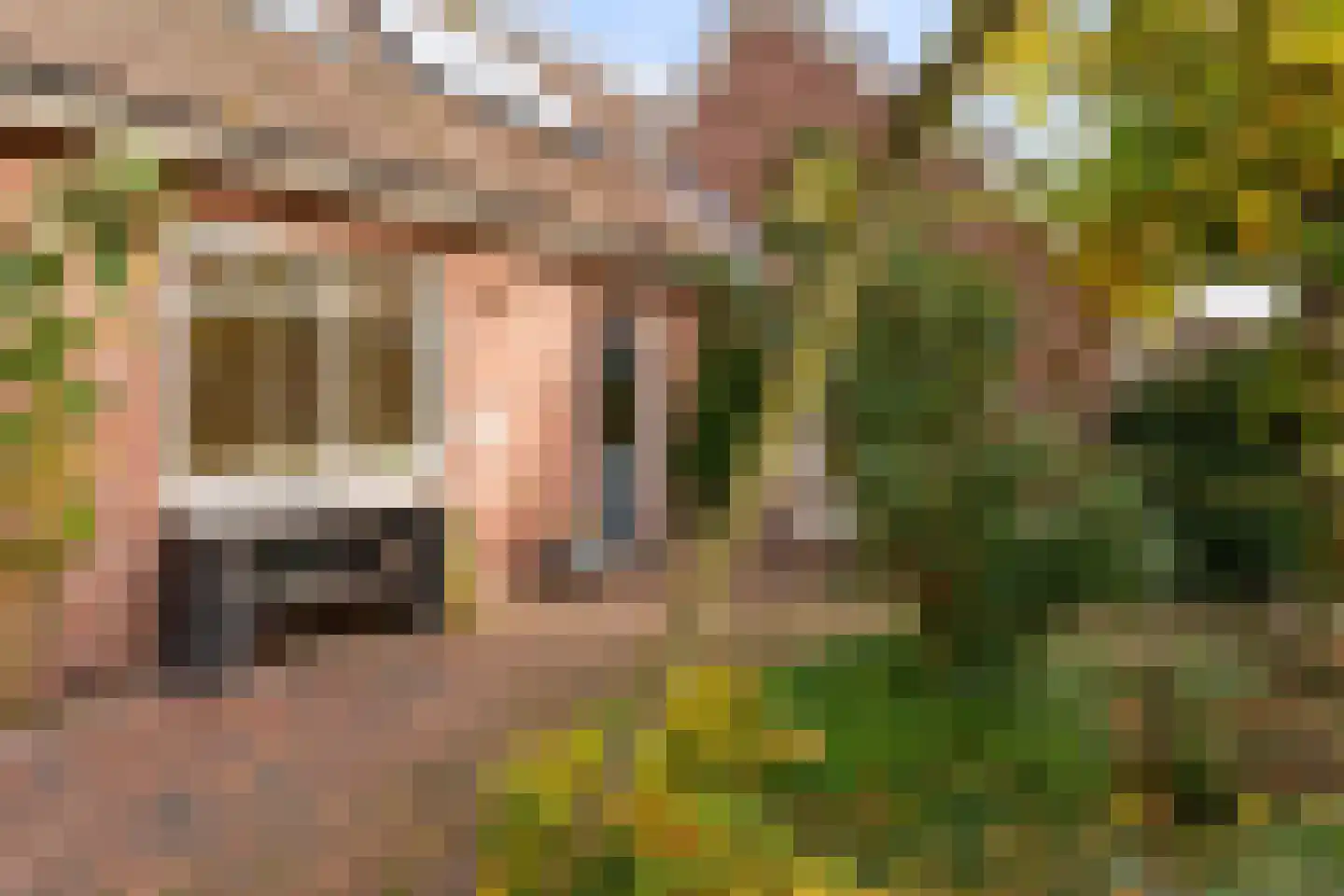De Groenkampen 39 Hooghalen thumbnail 37