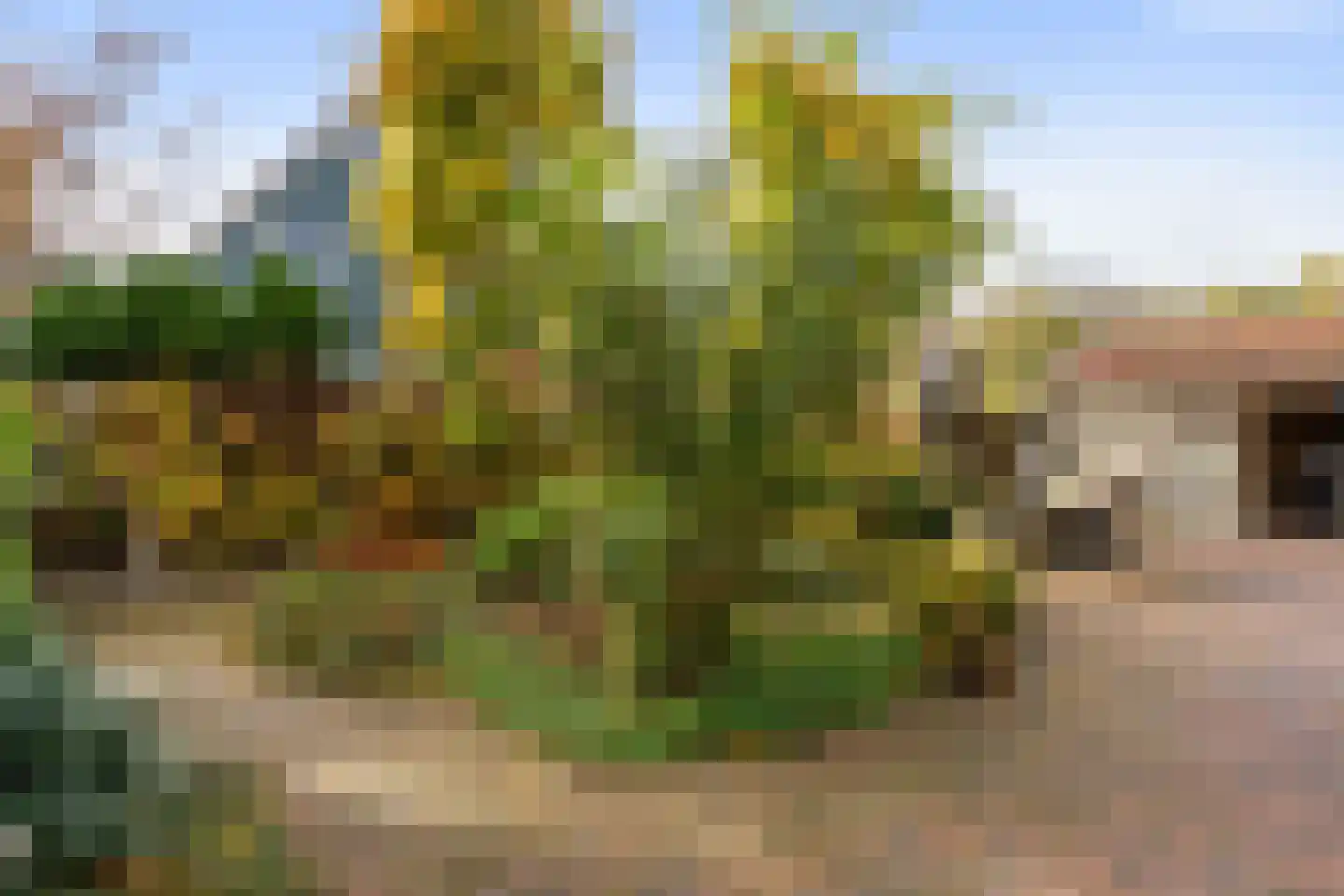De Groenkampen 39 Hooghalen thumbnail 38