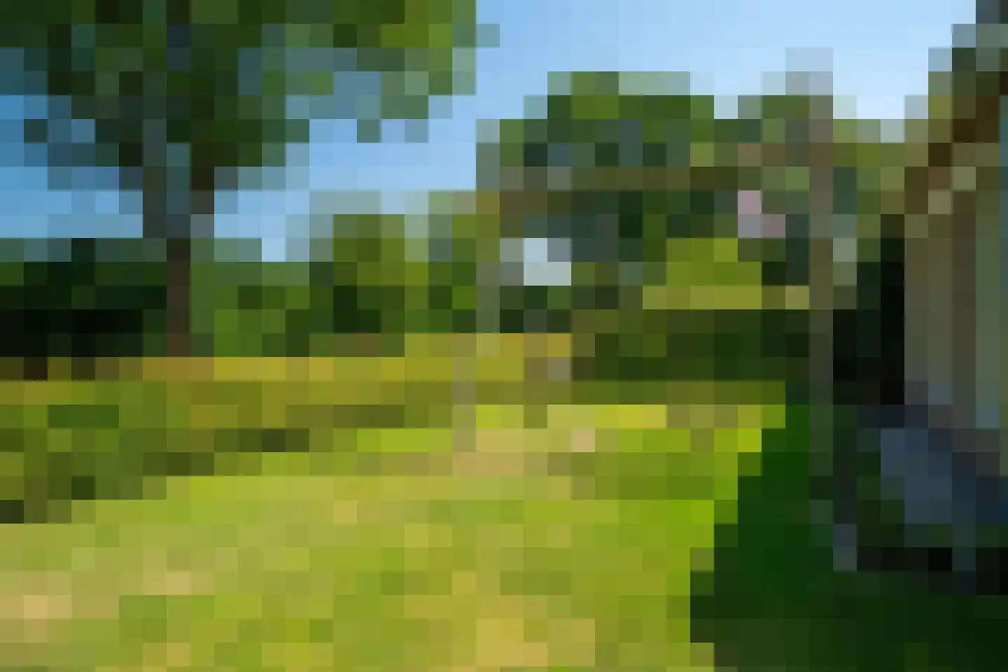 De Groenkampen 39 Hooghalen thumbnail 39