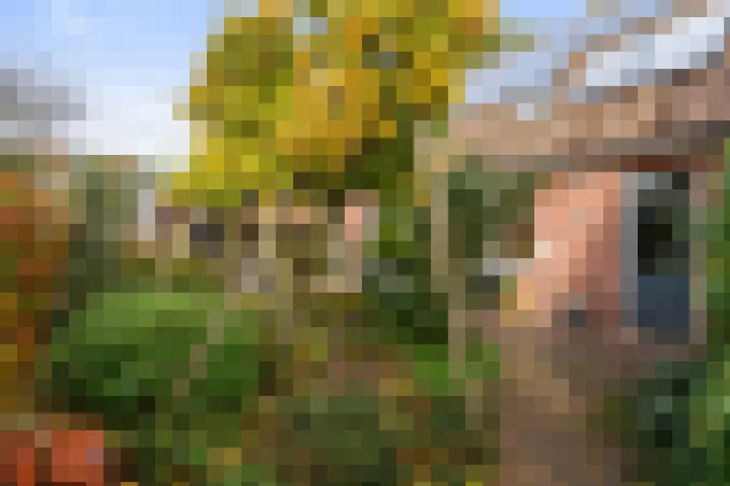 De Groenkampen 39 Hooghalen thumbnail 39