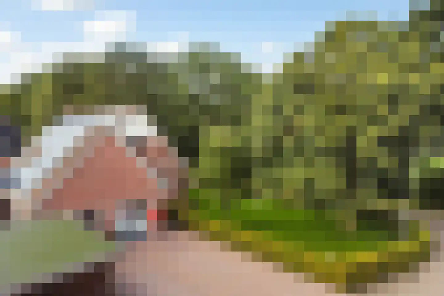 De Groenkampen 39 Hooghalen thumbnail 4