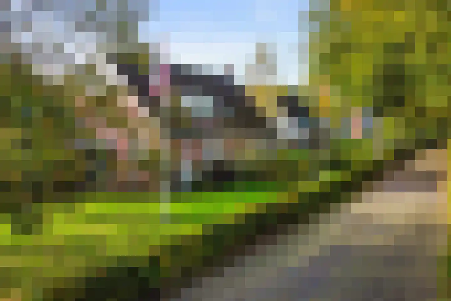 De Groenkampen 39 Hooghalen thumbnail 40