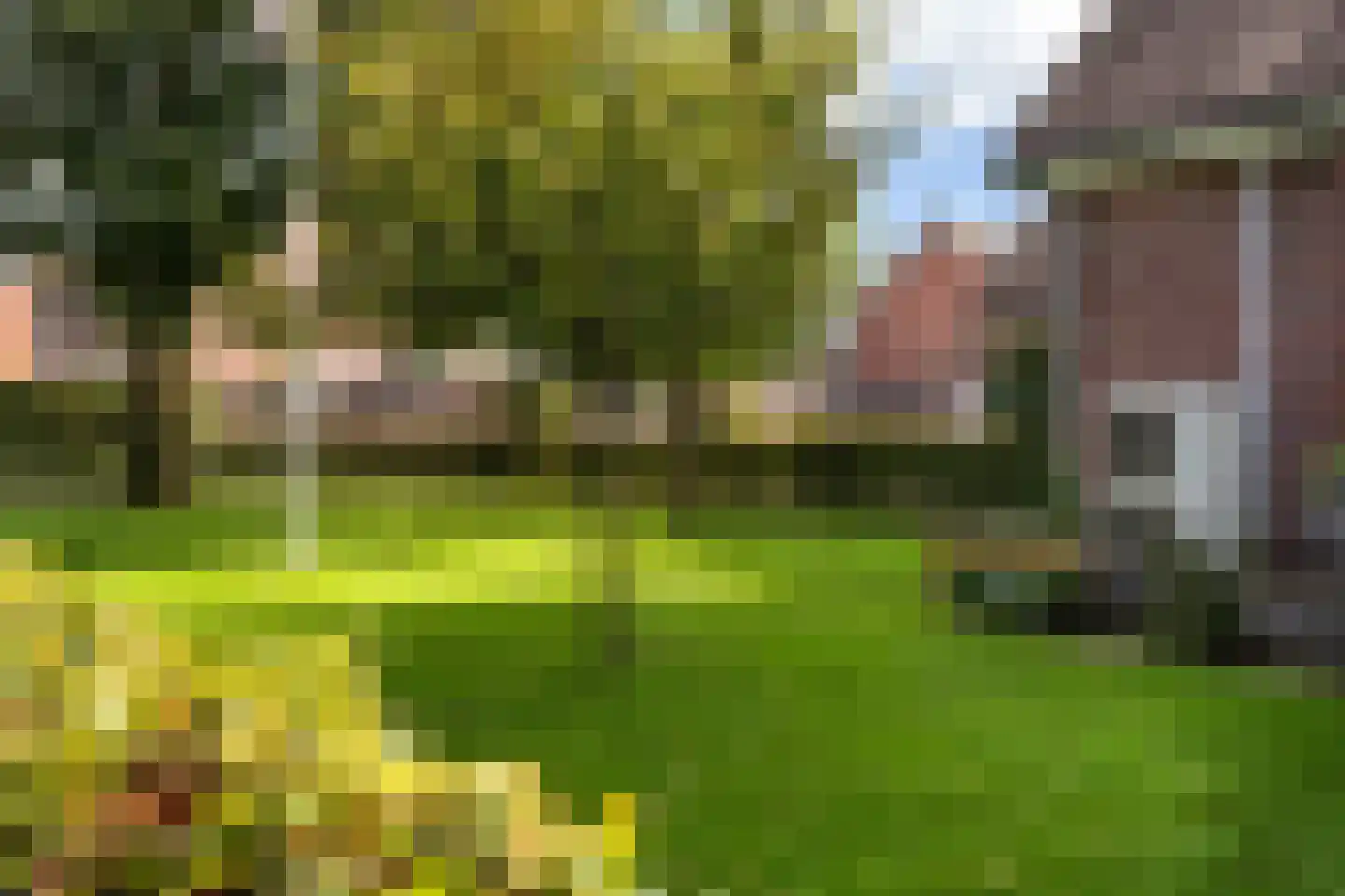 De Groenkampen 39 Hooghalen thumbnail 40