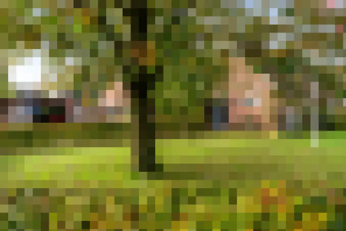 De Groenkampen 39 Hooghalen thumbnail 41