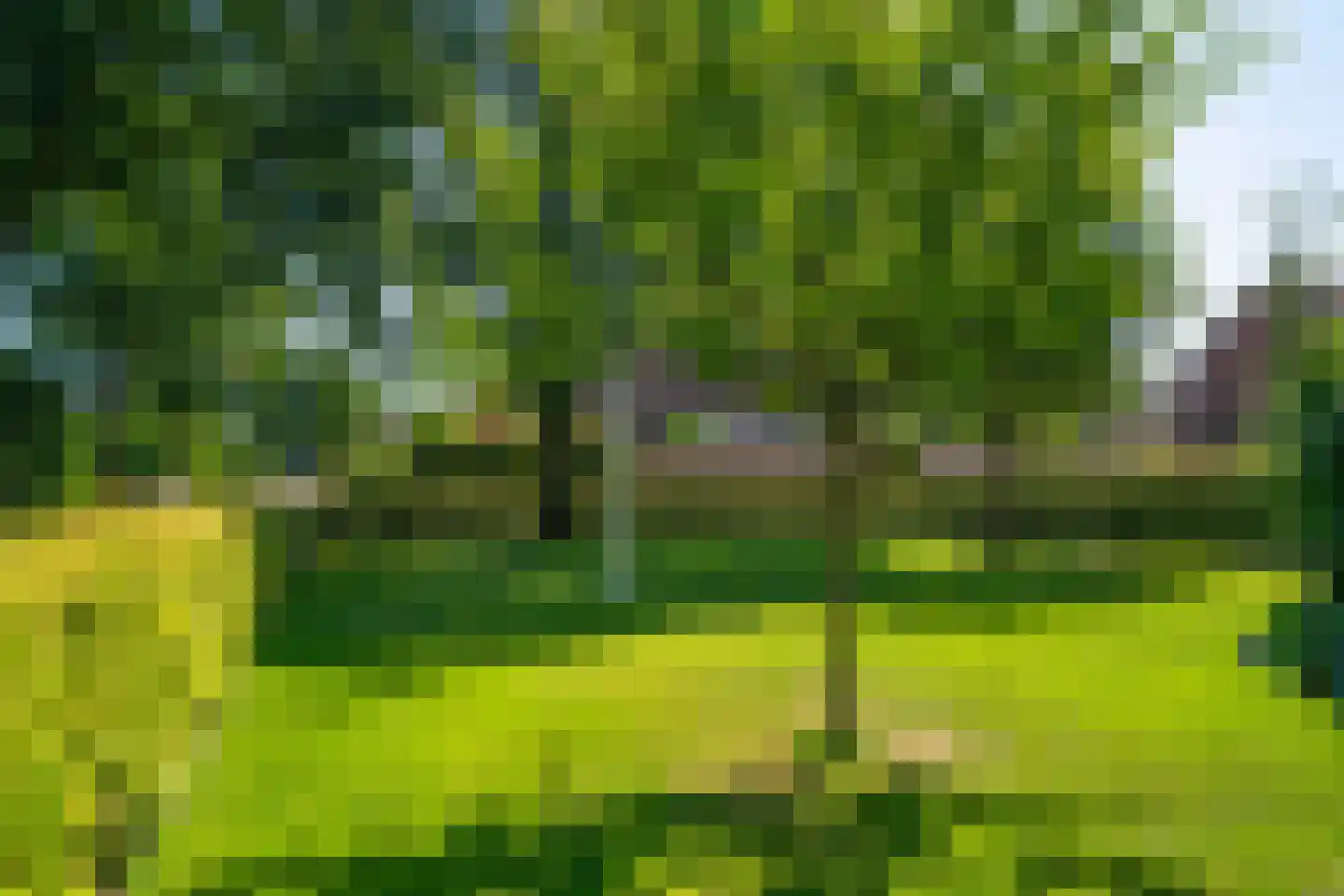 De Groenkampen 39 Hooghalen thumbnail 41
