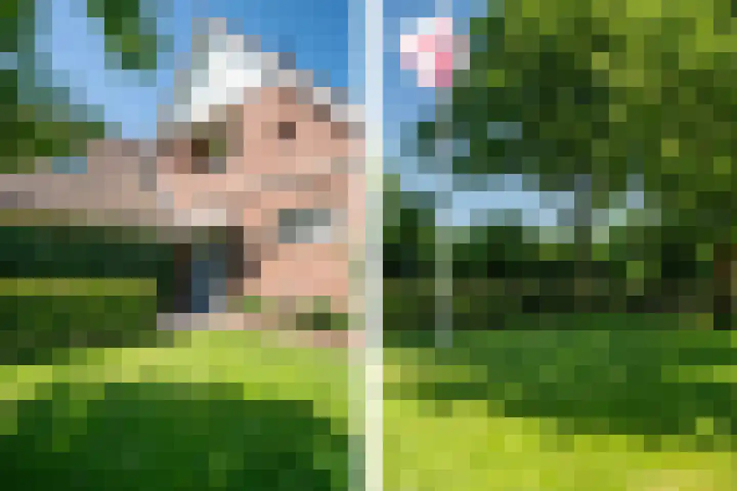 De Groenkampen 39 Hooghalen thumbnail 42