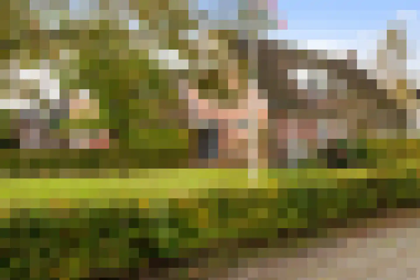 De Groenkampen 39 Hooghalen thumbnail 42