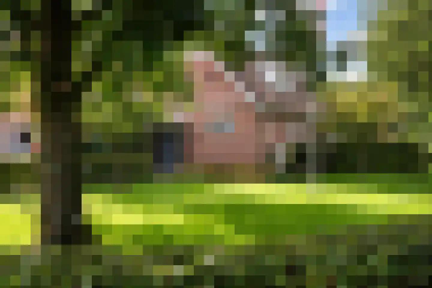 De Groenkampen 39 Hooghalen thumbnail 45