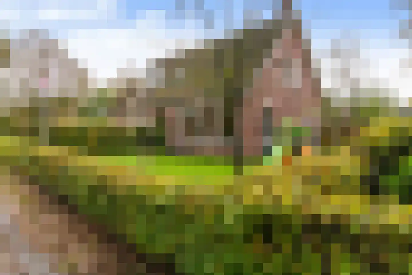 De Groenkampen 39 Hooghalen thumbnail 46